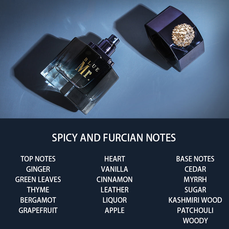 Noir Gentleman Long-Lasting Niche Eau de Parfum
